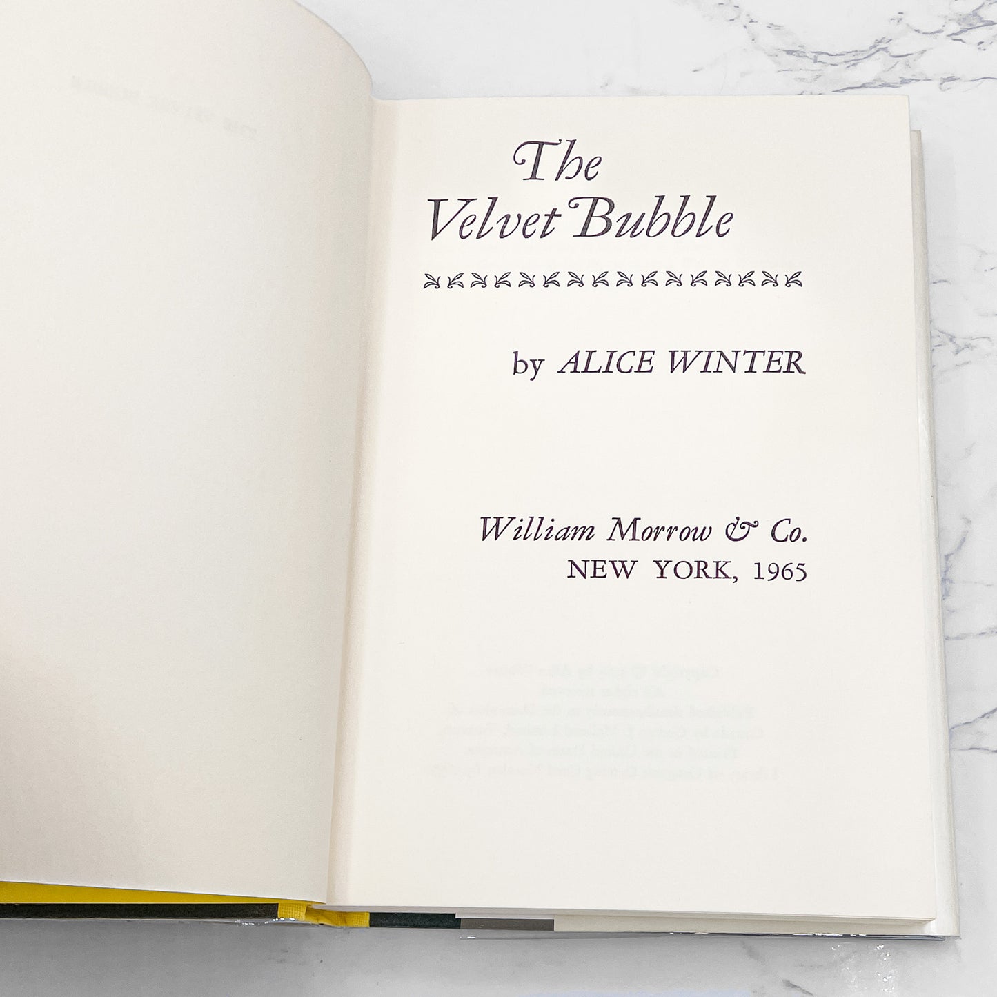 The Velvet Bubble by Alice Winter SIGNED! [FIRST EDITION] 1965 • William Morrow
