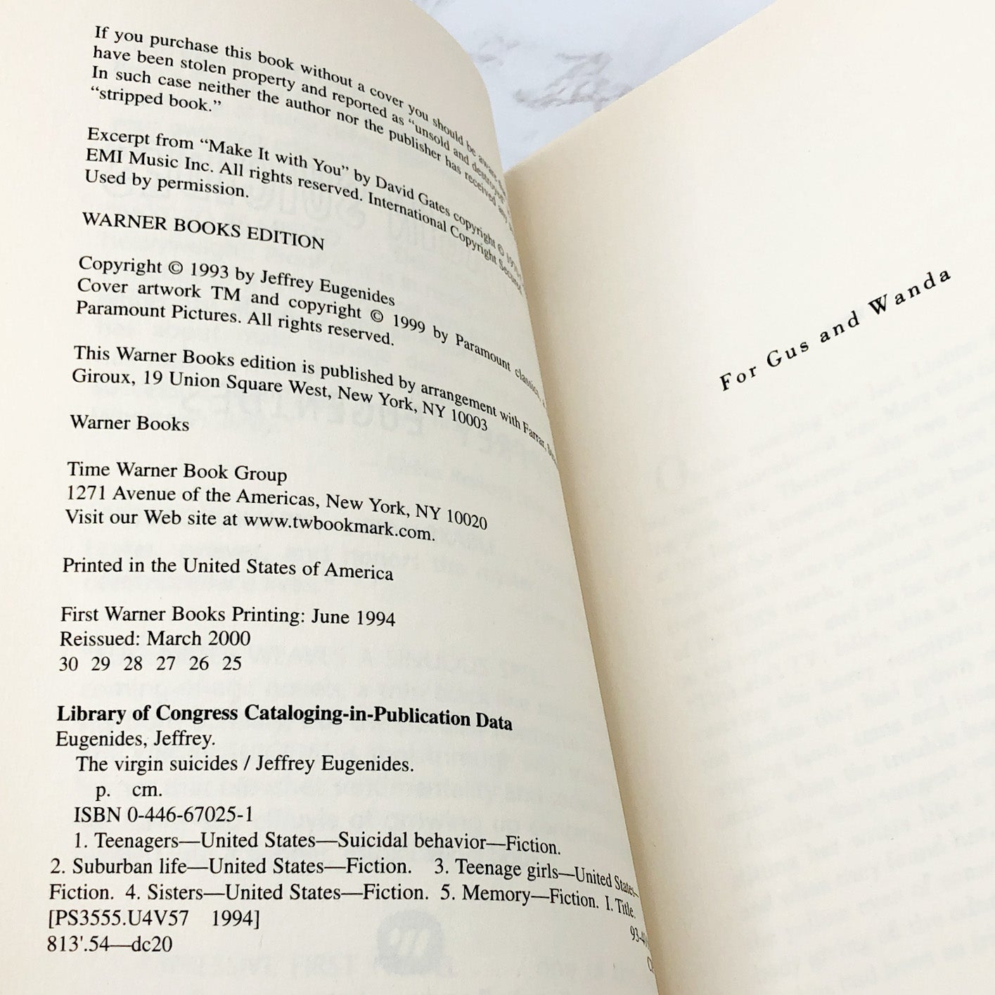 The Virgin Suicides by Jeffrey Eugenides [TRADE PAPERBACK] 1999 • Warner Books