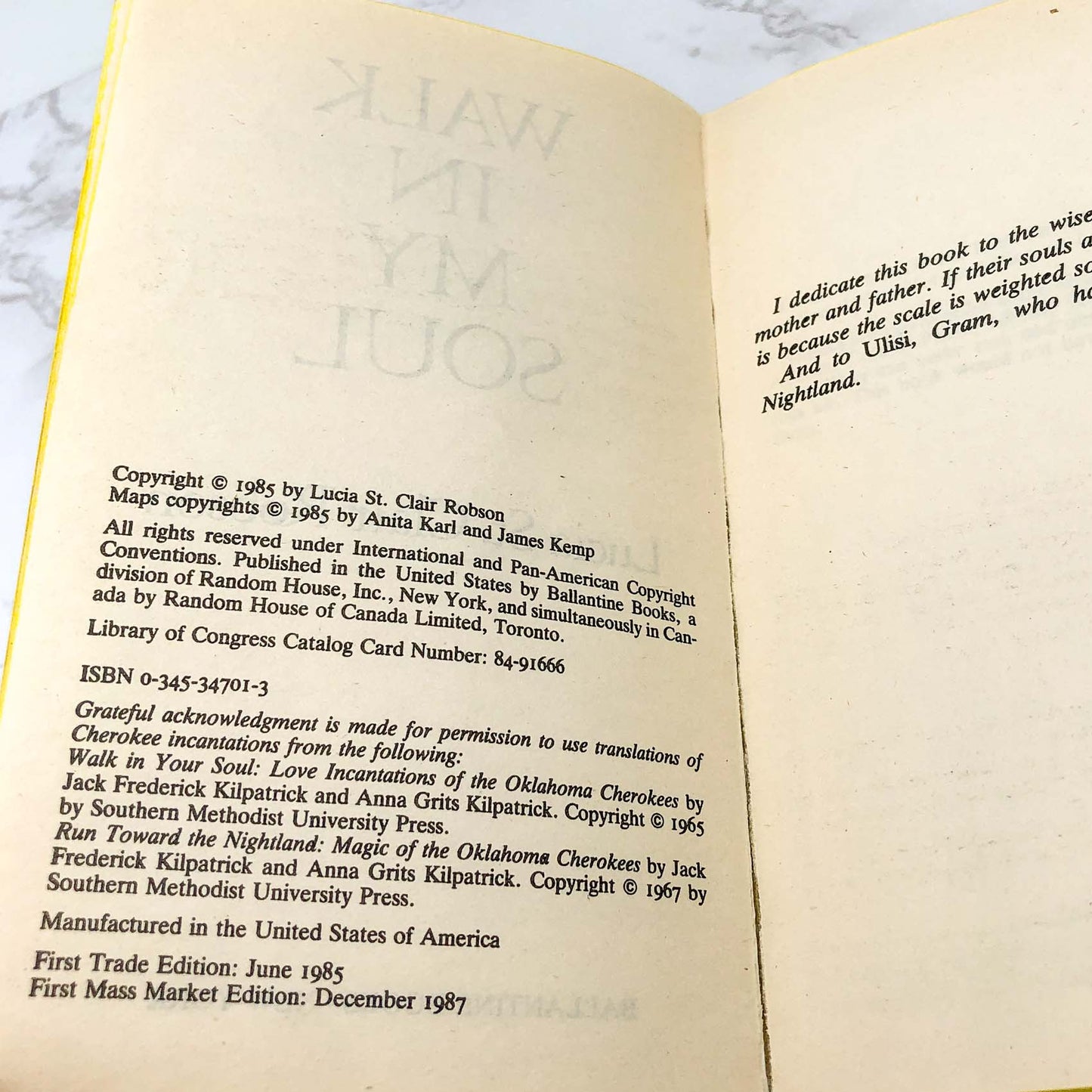 Walk in My Soul by Lucia St. Clair Robson [1987 PAPERBACK] • Ballantine