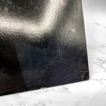 Warren Zevon - Warren Zevon S/T [VINYL LP] 1976 • Asylum Records