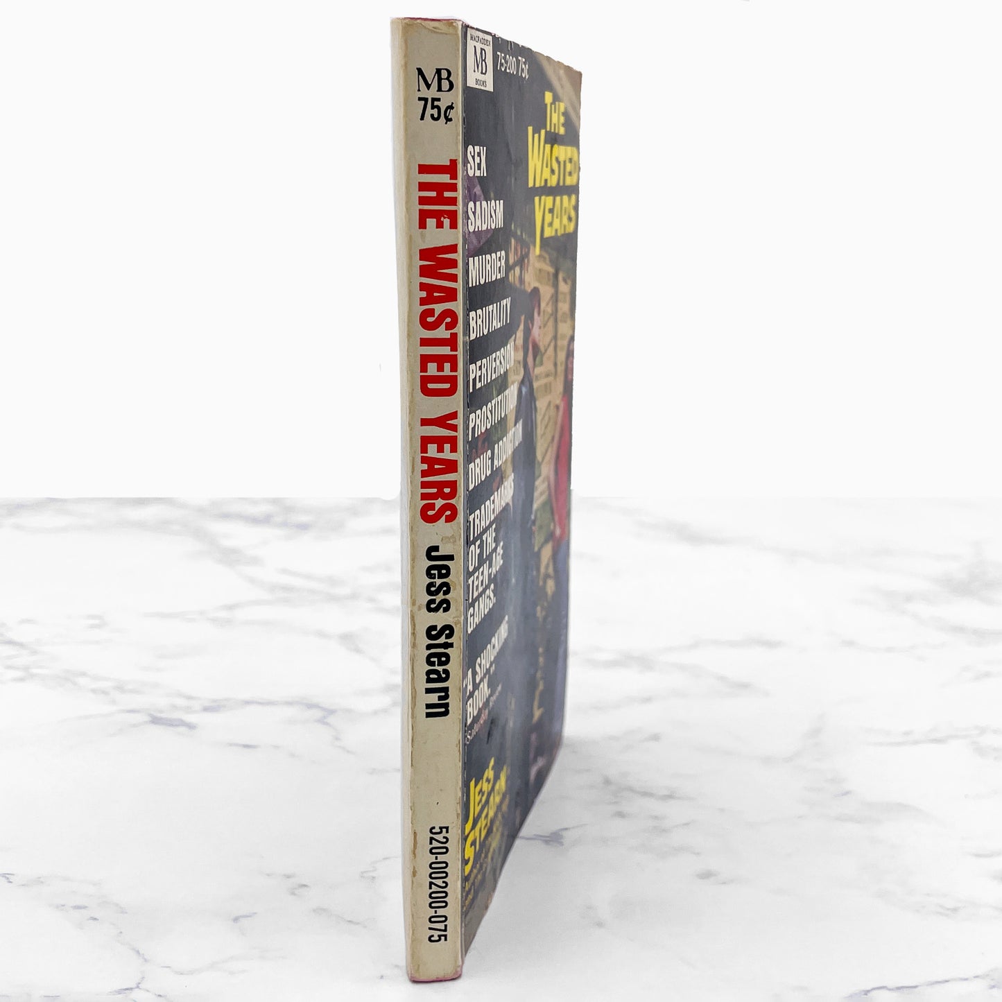 The Wasted Years by Jess Stearn [FIRST EDITION PAPERBACK] 1968 • Macfadden *See Condition!