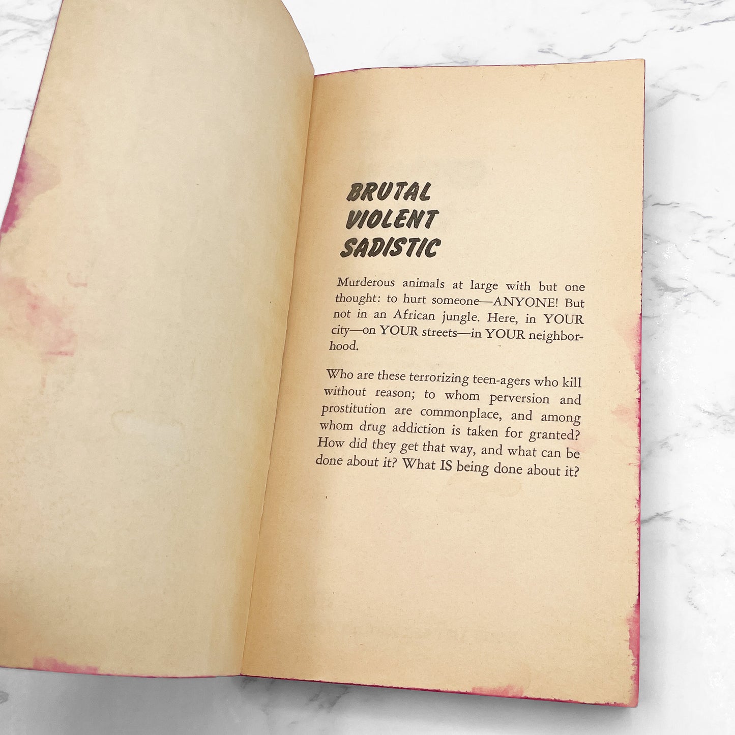 The Wasted Years by Jess Stearn [FIRST EDITION PAPERBACK] 1968 • Macfadden *See Condition!