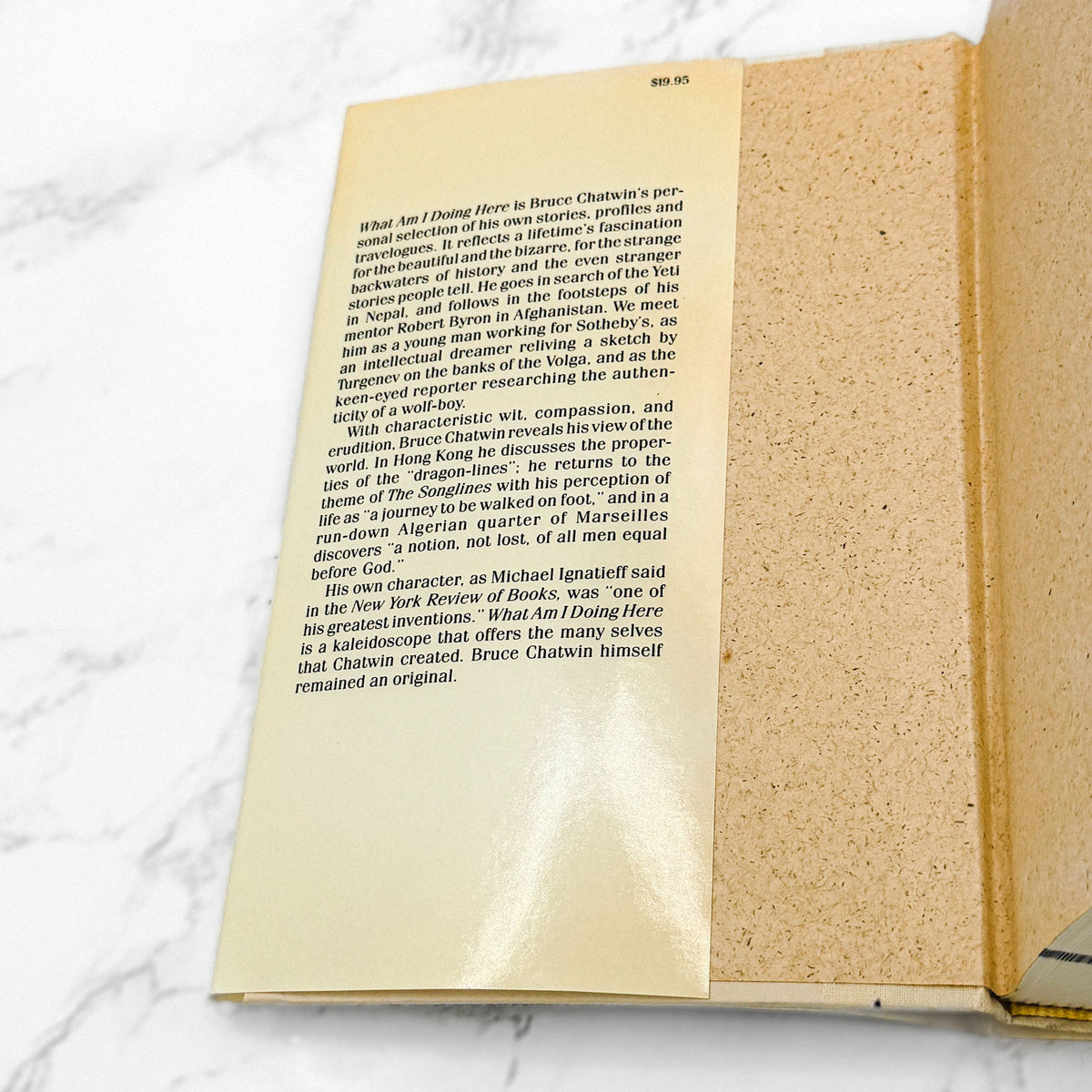 What Am I Doing Here? by Bruce Chatwin [FIRST EDITION • FIRST PRINTING] 1989 • Viking
