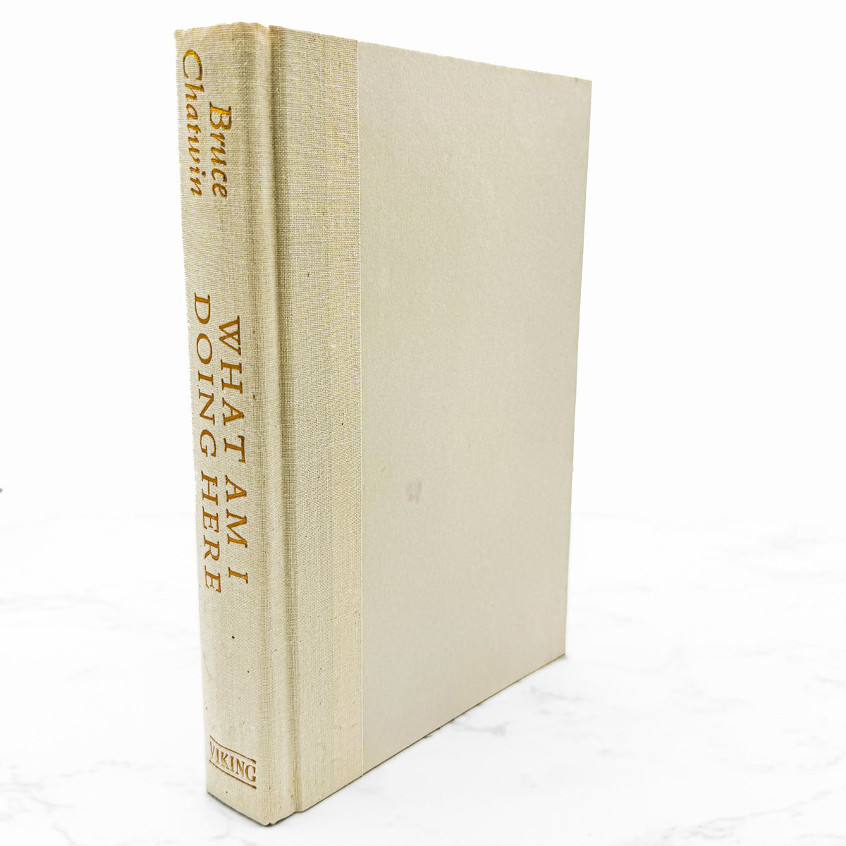 What Am I Doing Here? by Bruce Chatwin [FIRST EDITION • FIRST PRINTING] 1989 • Viking