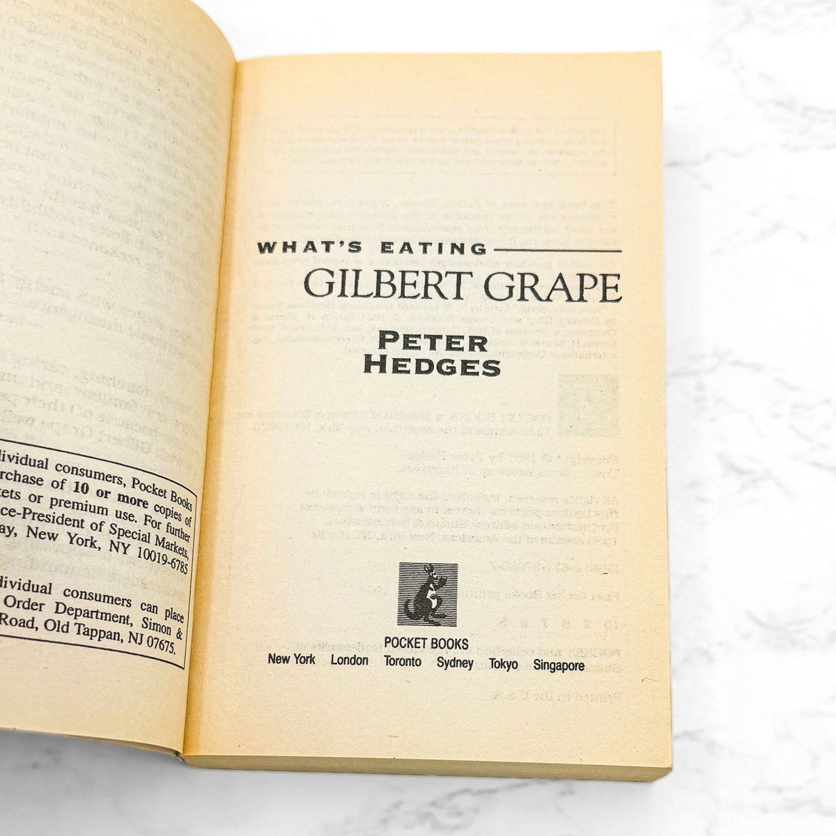 What's Eating Gilbert Grape by Peter Hedges [1994 PAPERBACK] • Pocket • Movie Tie-in