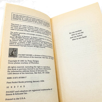 What's Eating Gilbert Grape by Peter Hedges [1994 PAPERBACK] • Pocket • Movie Tie-in