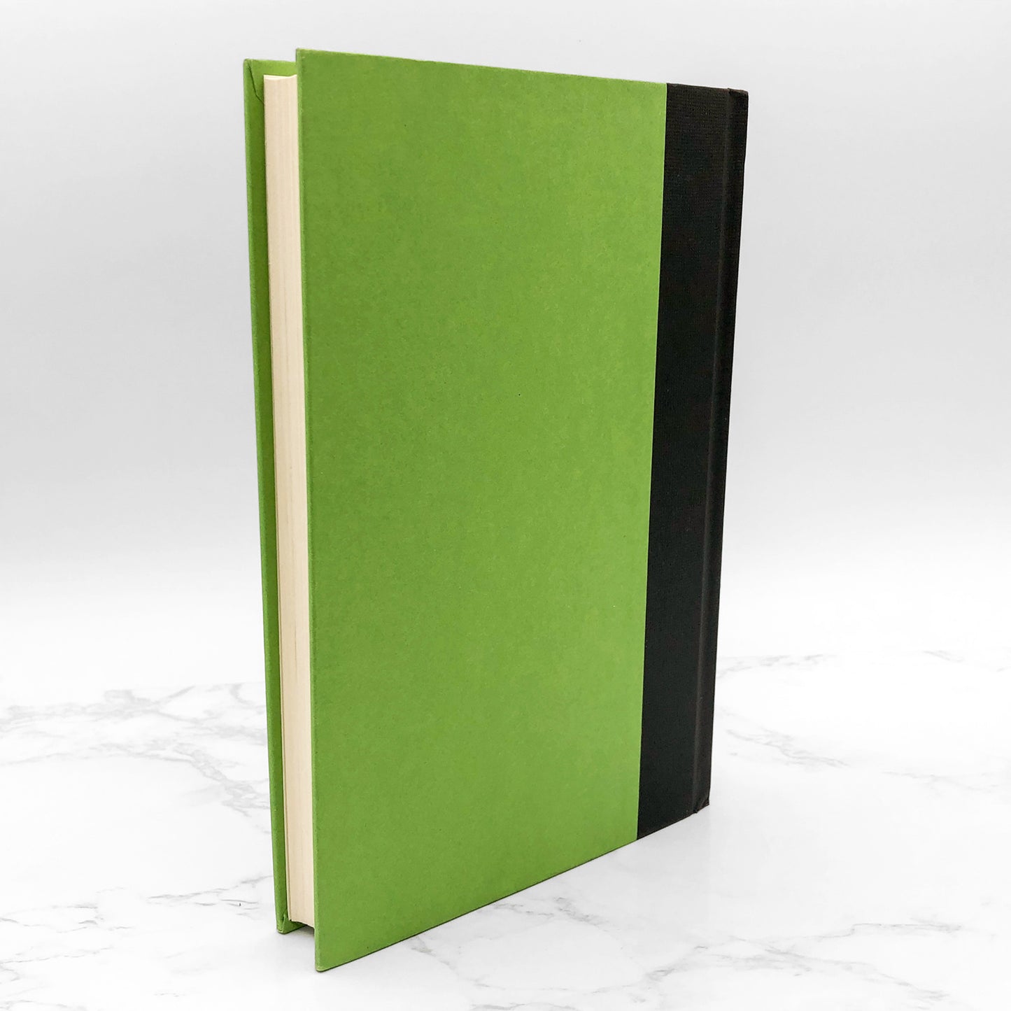 What Was She Thinking? [Notes on a Scandal] by Zoë Heller [FIRST EDITION • FIRST PRINTING] 2003 • Henry Holt