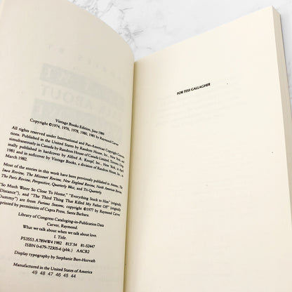 What We Talk About When We Talk About Love: Stories by Raymond Carver [TRADE PAPERBACK] • Vintage Contemporaries