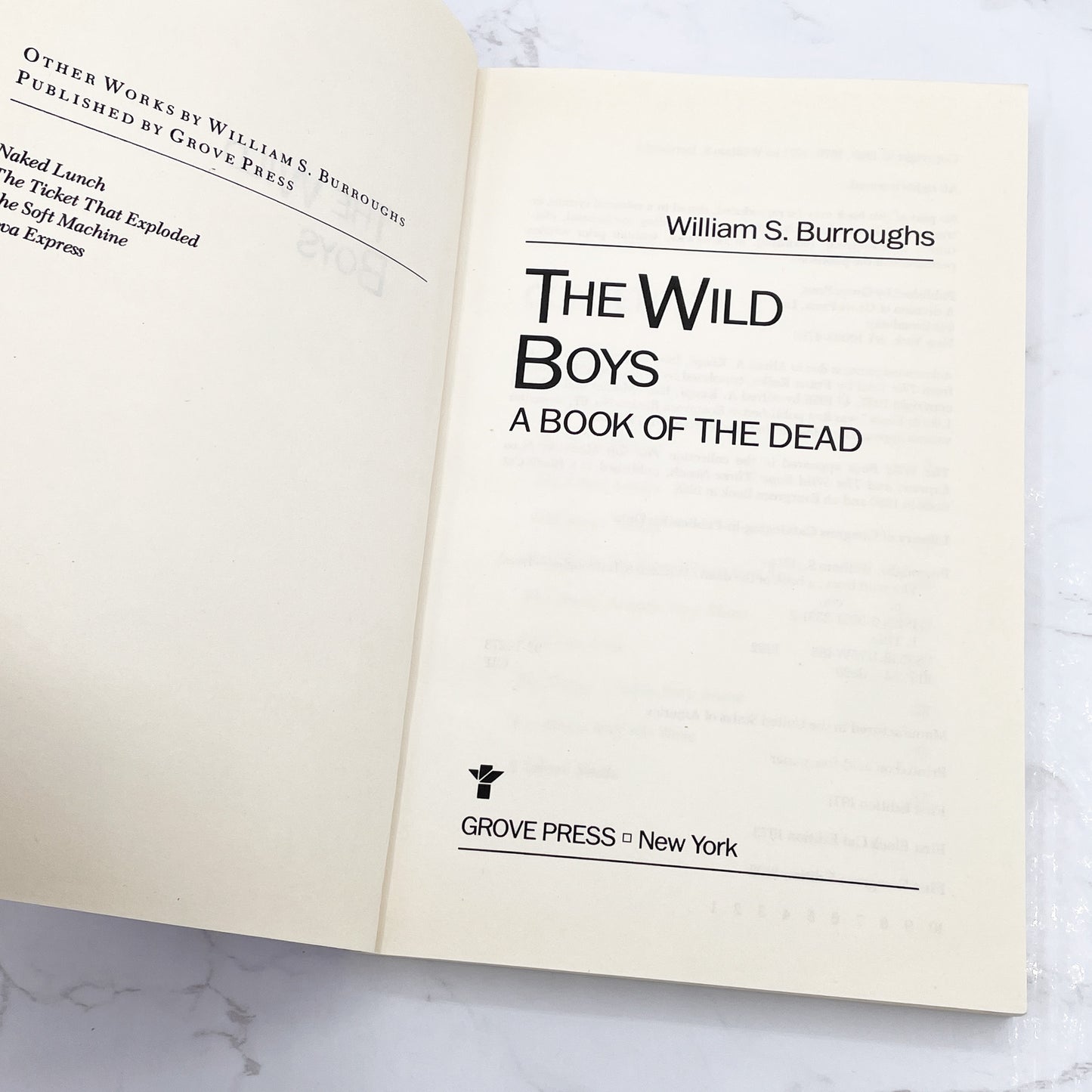 The Wild Boys: A Book of the Dead by William S. Burroughs [TRADE PAPERBACK] 1992 • Grove Press