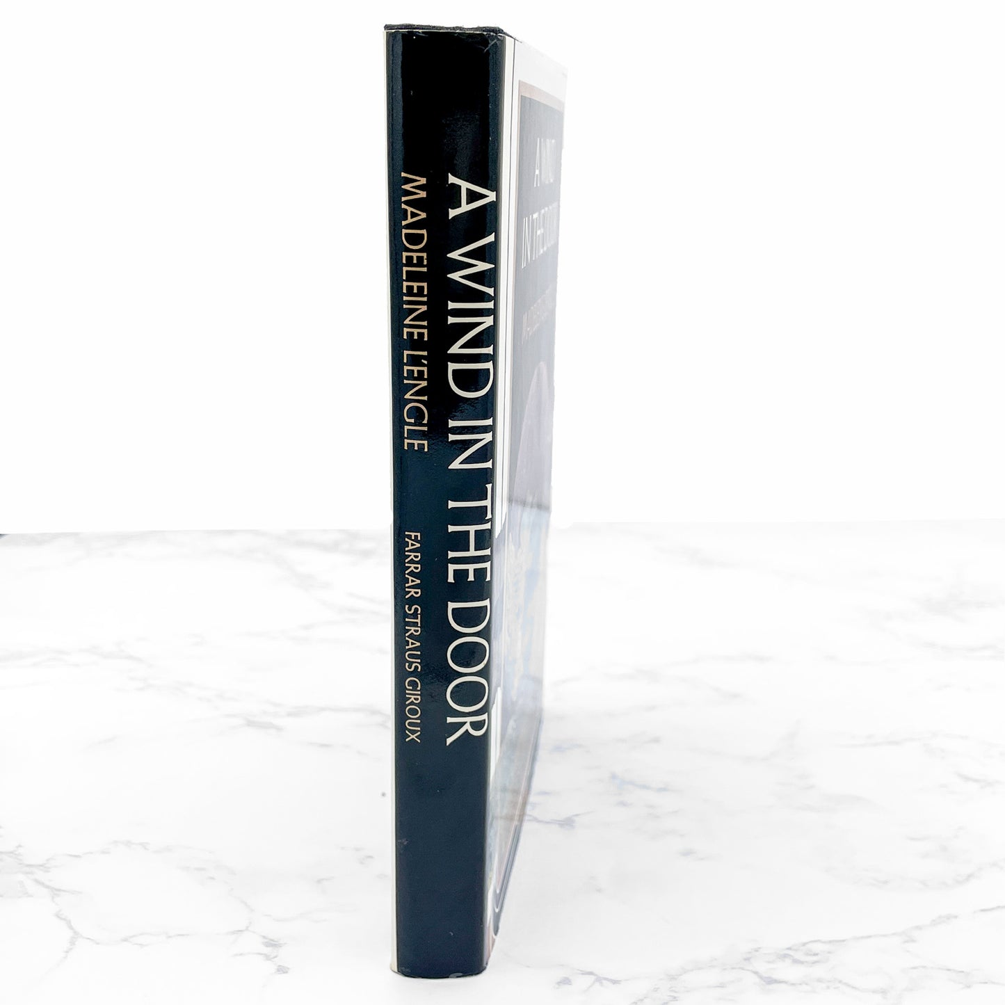 A Wind in the Door by Madeleine L'Engle [FIRST EDITION • SECOND STATE] 1981 • 10th Printing • FSG