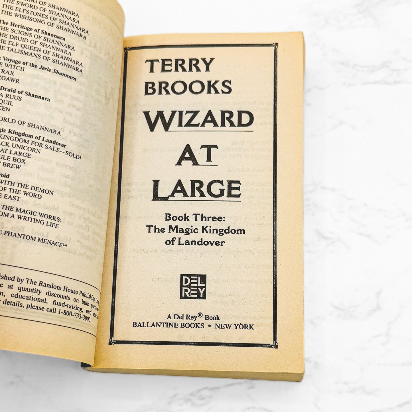 Wizard at Large by Terry Brooks [FIRST PAPERBACK EDITION] 1989 • Del-Rey