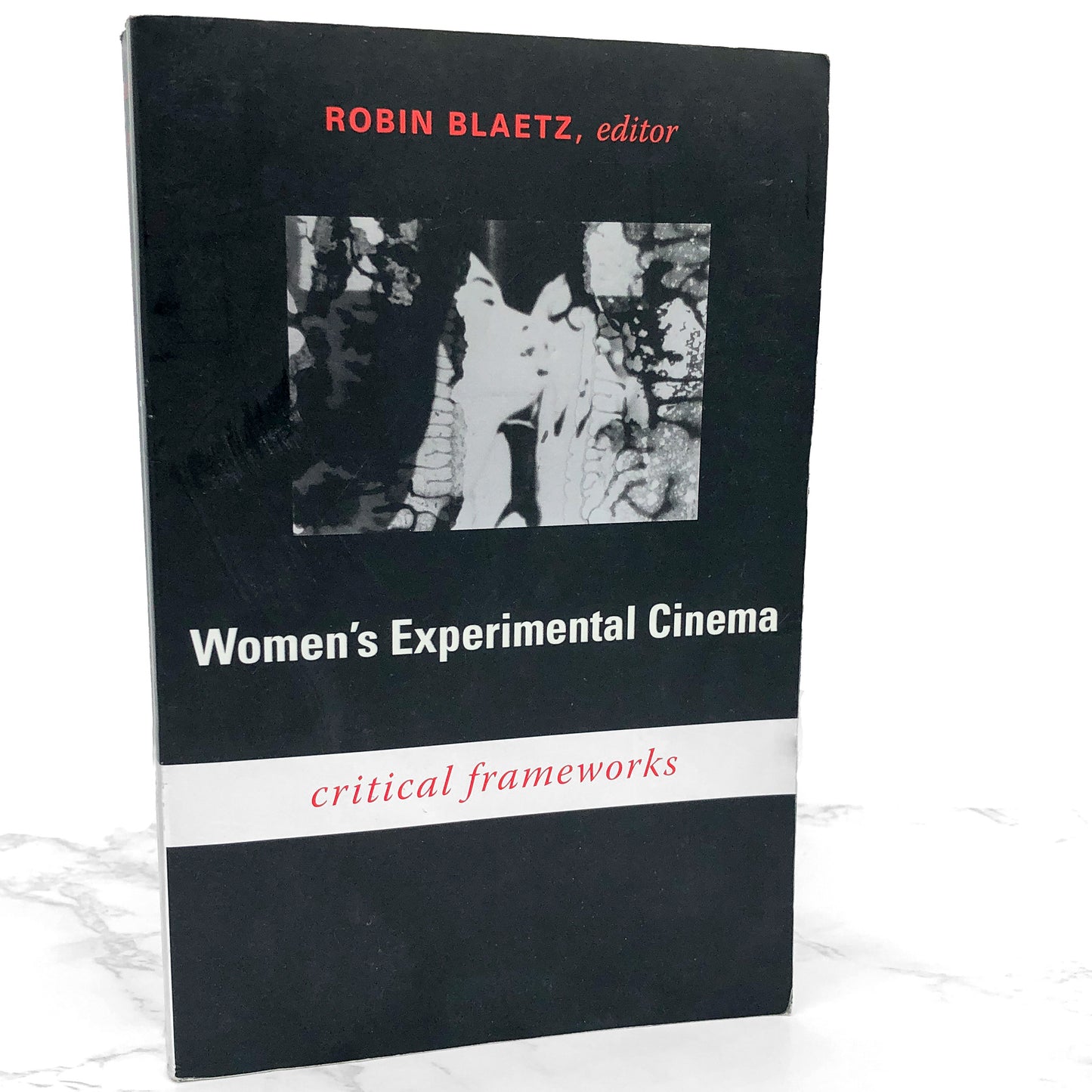 Women's Experimental Cinema: Critical Frameworks by Robin Blaetz [TRADE PAPERBACK] 2007