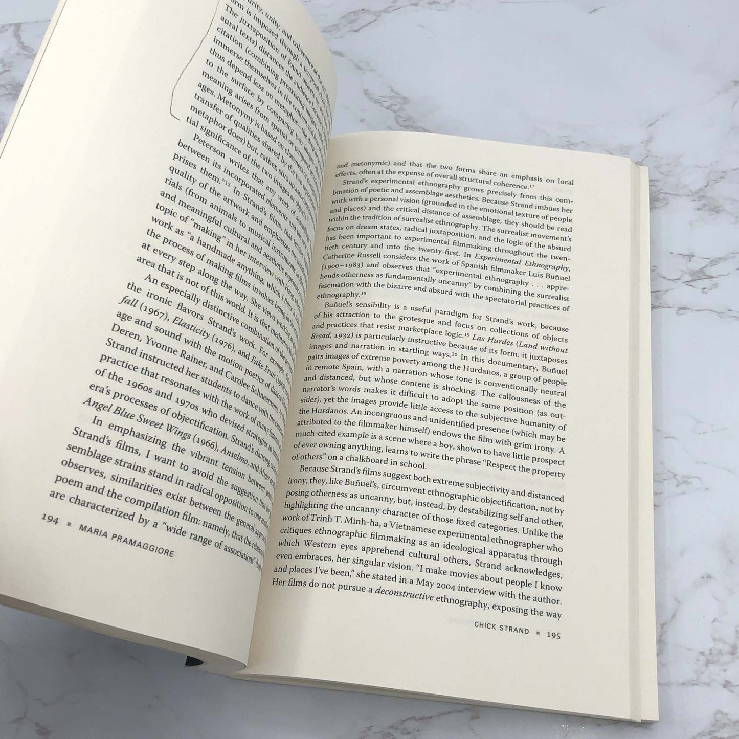 Women's Experimental Cinema: Critical Frameworks by Robin Blaetz [TRADE PAPERBACK] 2007