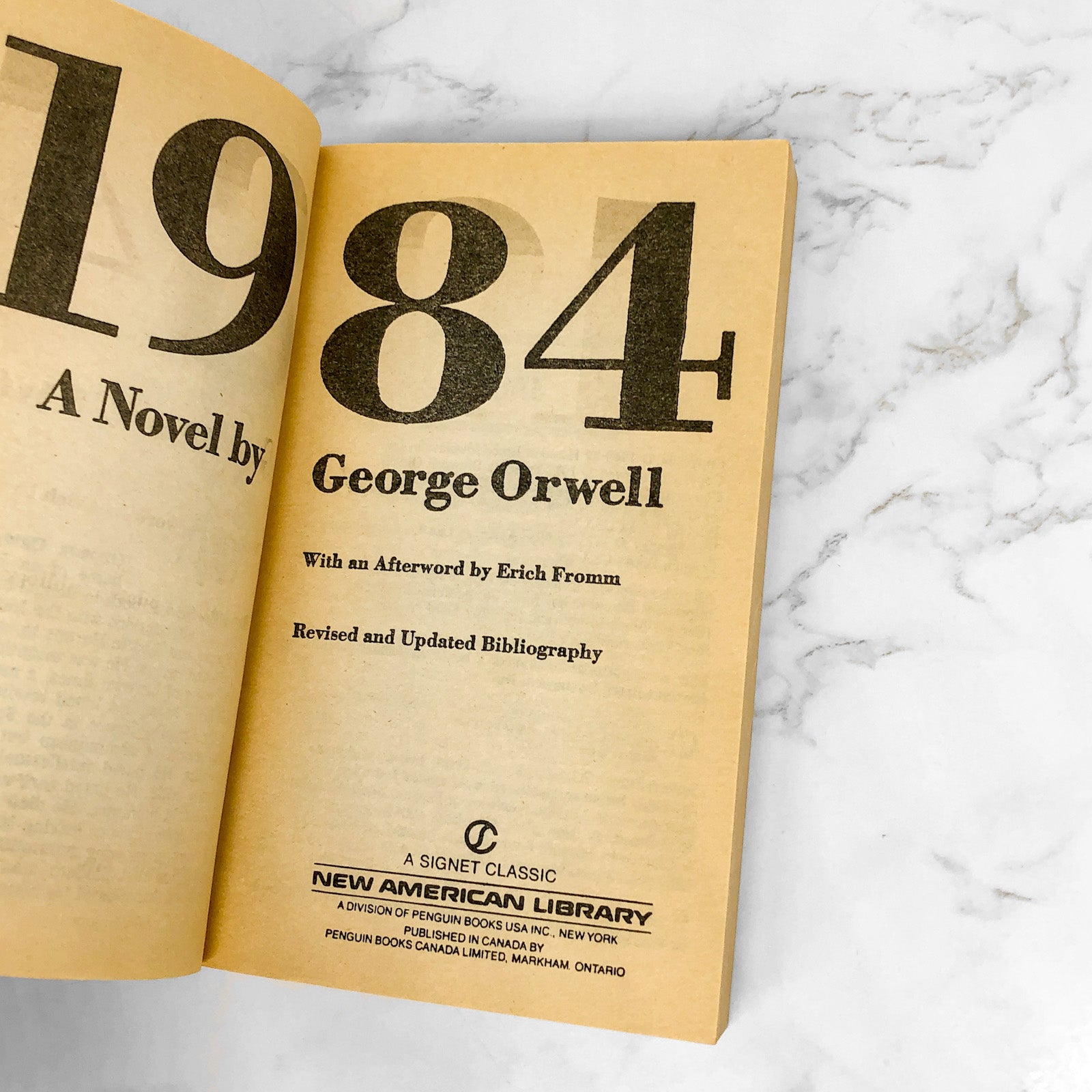 1984 by George Orwell [VINTAGE 1984 PAPERBACK]