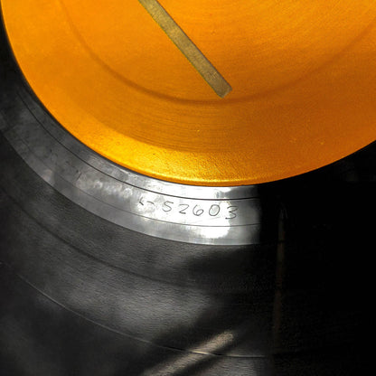 Alkaline Trio - Maybe I'll Catch Fire [FIRST PRESSING!] Vinyl LP • 2000 • Asian Man Records • 1/1000