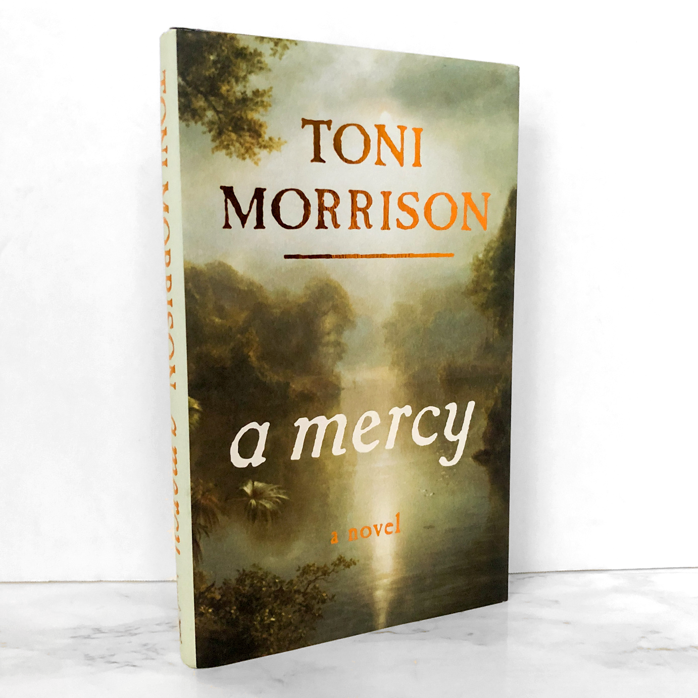 A Mercy by Toni Morrison [FIRST EDITION / FIRST PRINTING]