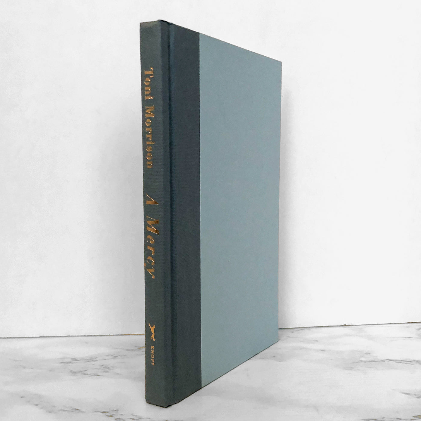 A Mercy by Toni Morrison [FIRST EDITION / FIRST PRINTING]