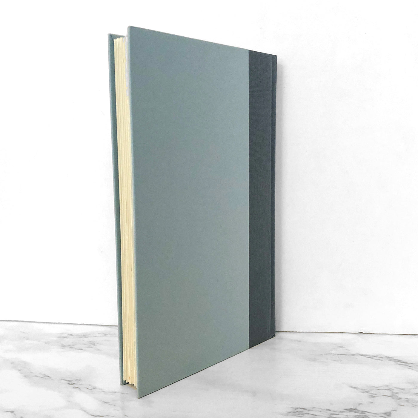 A Mercy by Toni Morrison [FIRST EDITION / FIRST PRINTING]