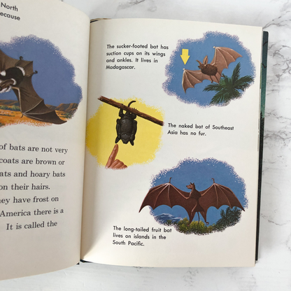 Bats by Richard G Van Gelder & Tom Dolan [FIRST EDITION] - Bookshop Apocalypse