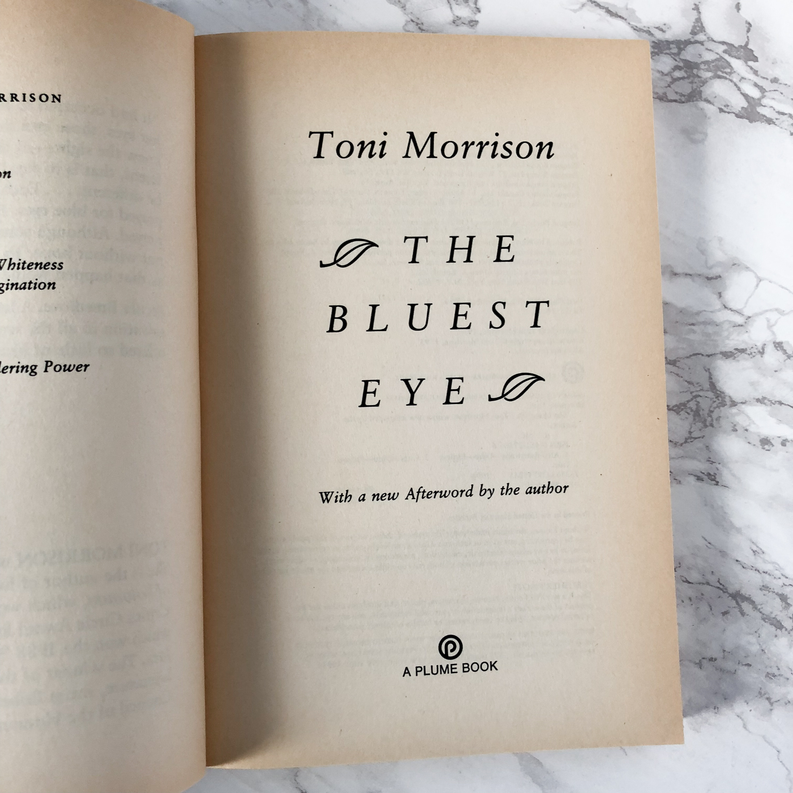The Bluest Eye by Toni Morrison [1994 TRADE PAPERBACK] - Bookshop Apocalypse