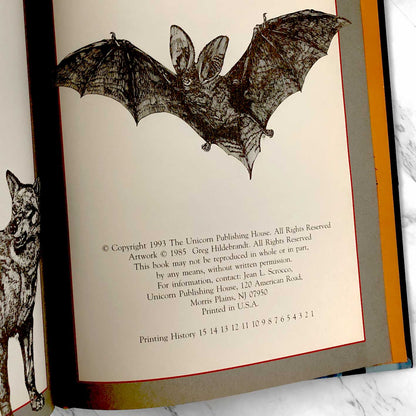 Dracula by Bram Stoker & Greg Hildebrandt [UNICORN HARDCOVER / 1993]