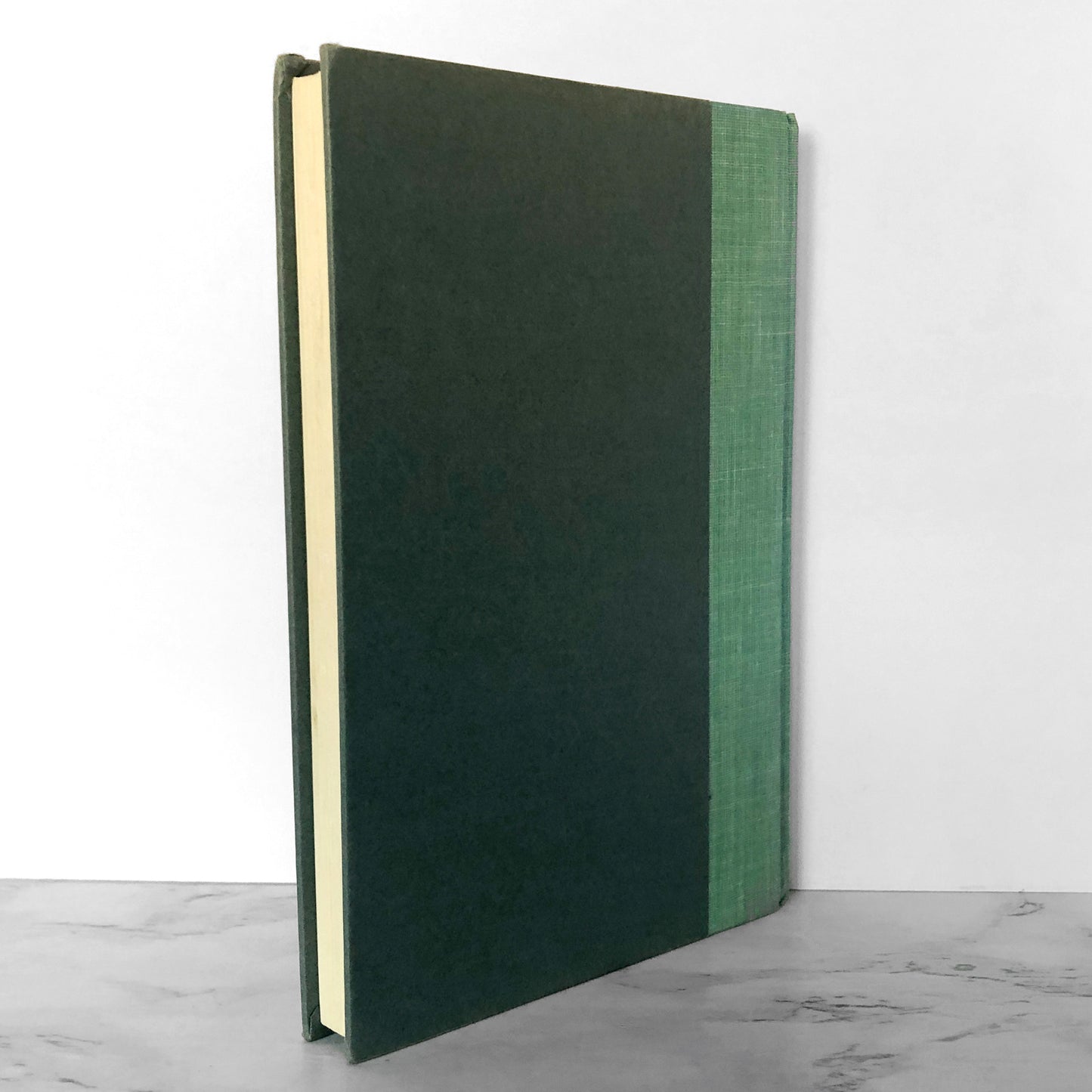 Jennifer Murdley's Toad by Bruce Coville [FIRST EDITION / FIRST PRINTING]