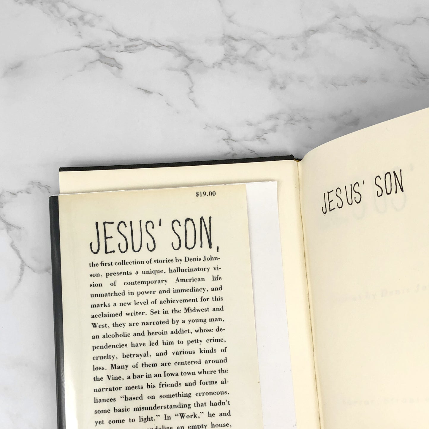 Jesus' Son by Denis Johnson [FIRST EDITION] 1993