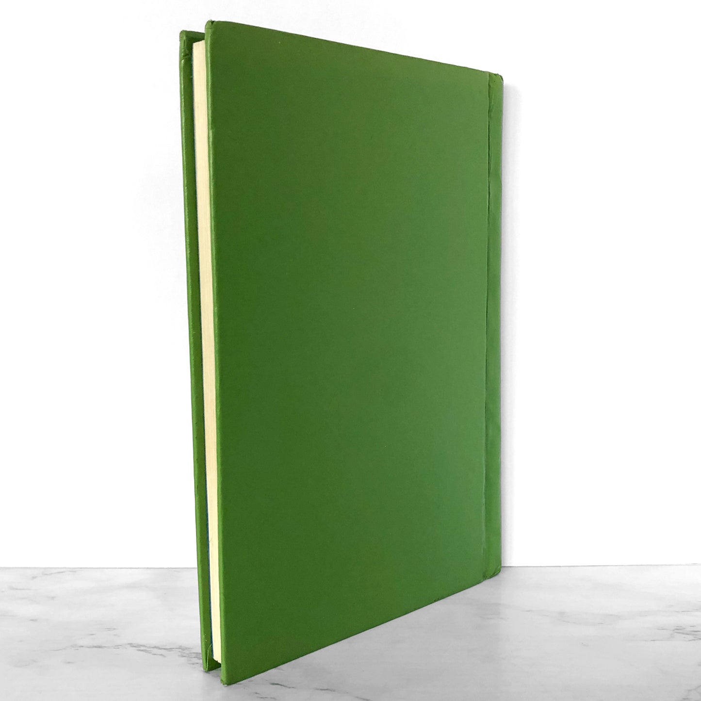 Journey to Jo'burg by Beverly Naidoo [FIRST EDITION / FIRST PRINTING]