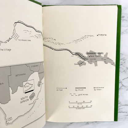 Journey to Jo'burg by Beverly Naidoo [FIRST EDITION / FIRST PRINTING]