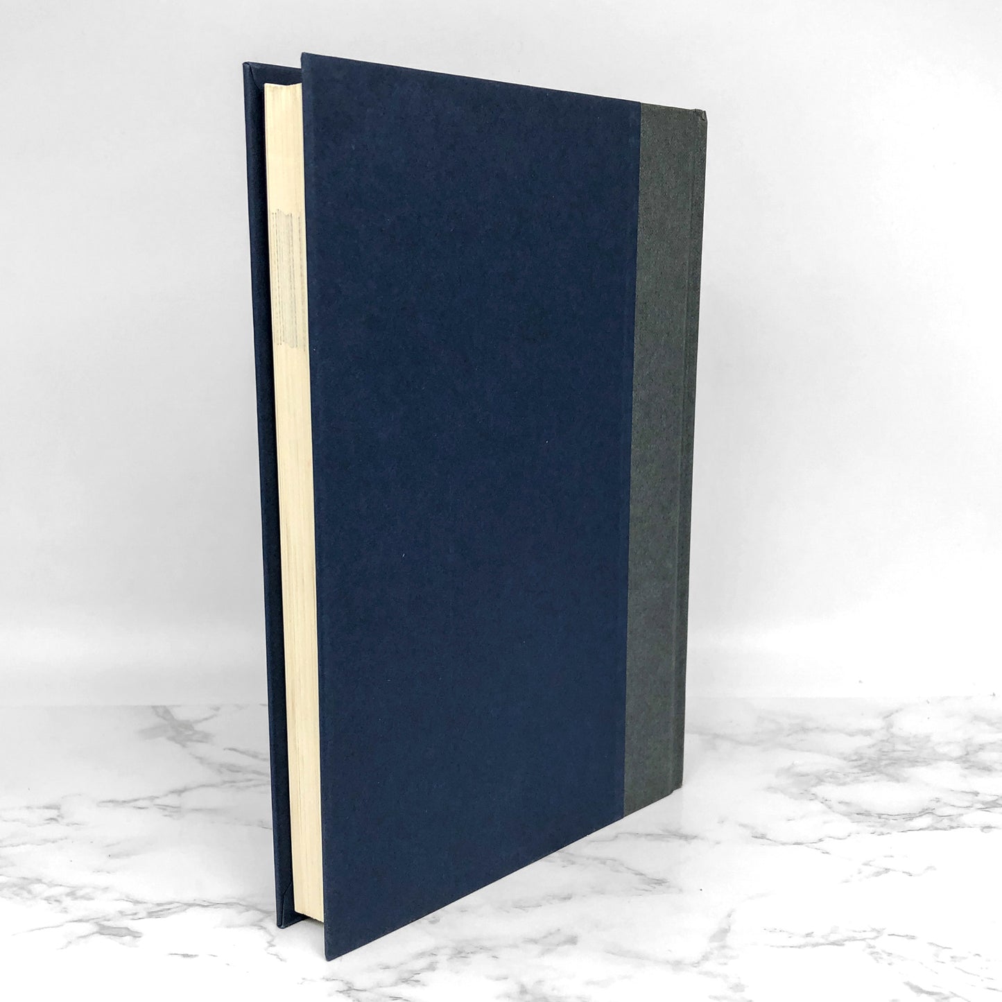 MEG by Steve Alten [FIRST EDITION • FIRST PRINTING] 1997