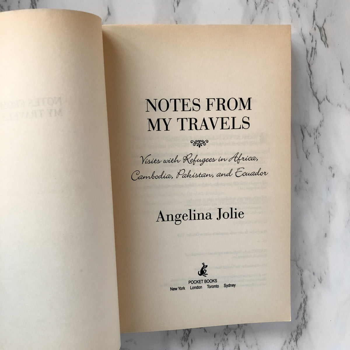 Notes on My Travels: Visits with Refugees in Africa, Cambodia, Pakistan & Ecuador by Angelina Jolie [TRADE PAPERBACK] - Bookshop Apocalypse