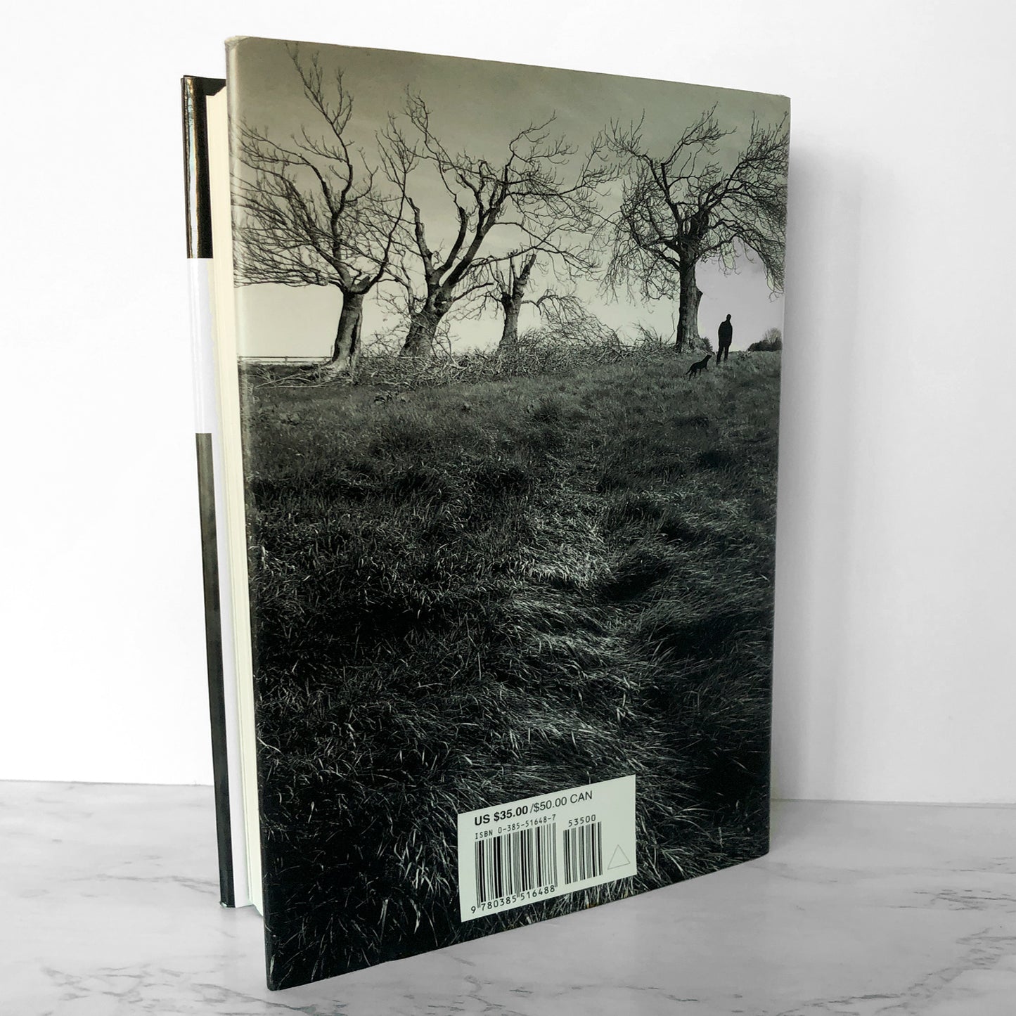 Salem's Lot by Stephen King [ILLUSTRATED EDITION] 2005 / FIRST PRINTING