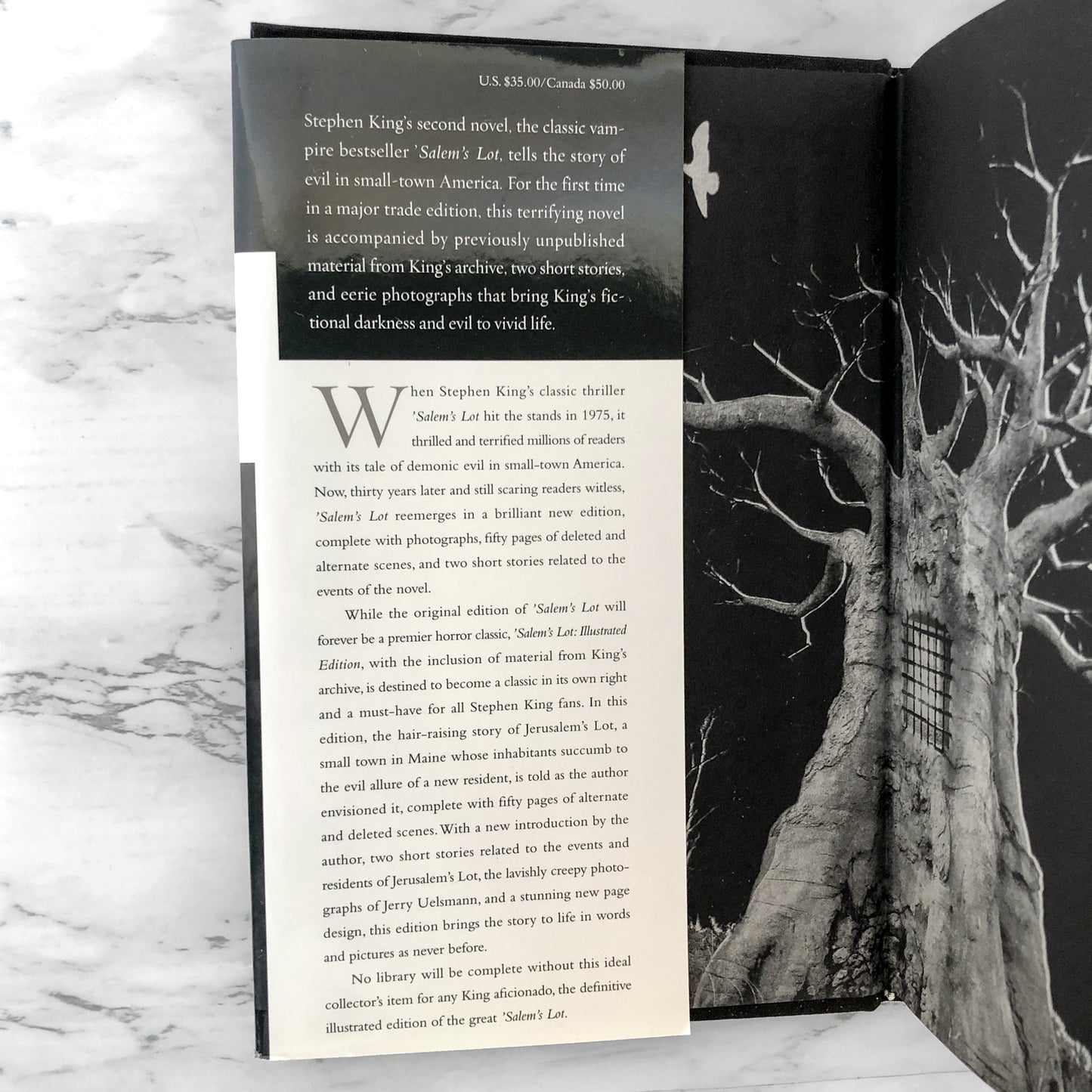 Salem's Lot by Stephen King [ILLUSTRATED EDITION] 2005 / FIRST PRINTING