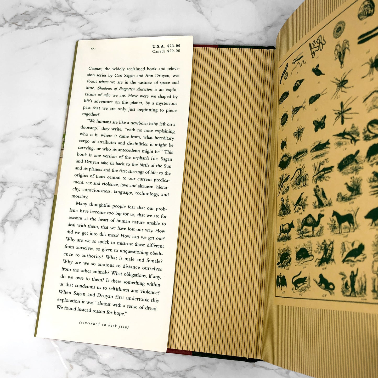 Shadows of Forgotten Ancestors by Carl Sagan & Ann Druyan [FIRST EDITION] 1992