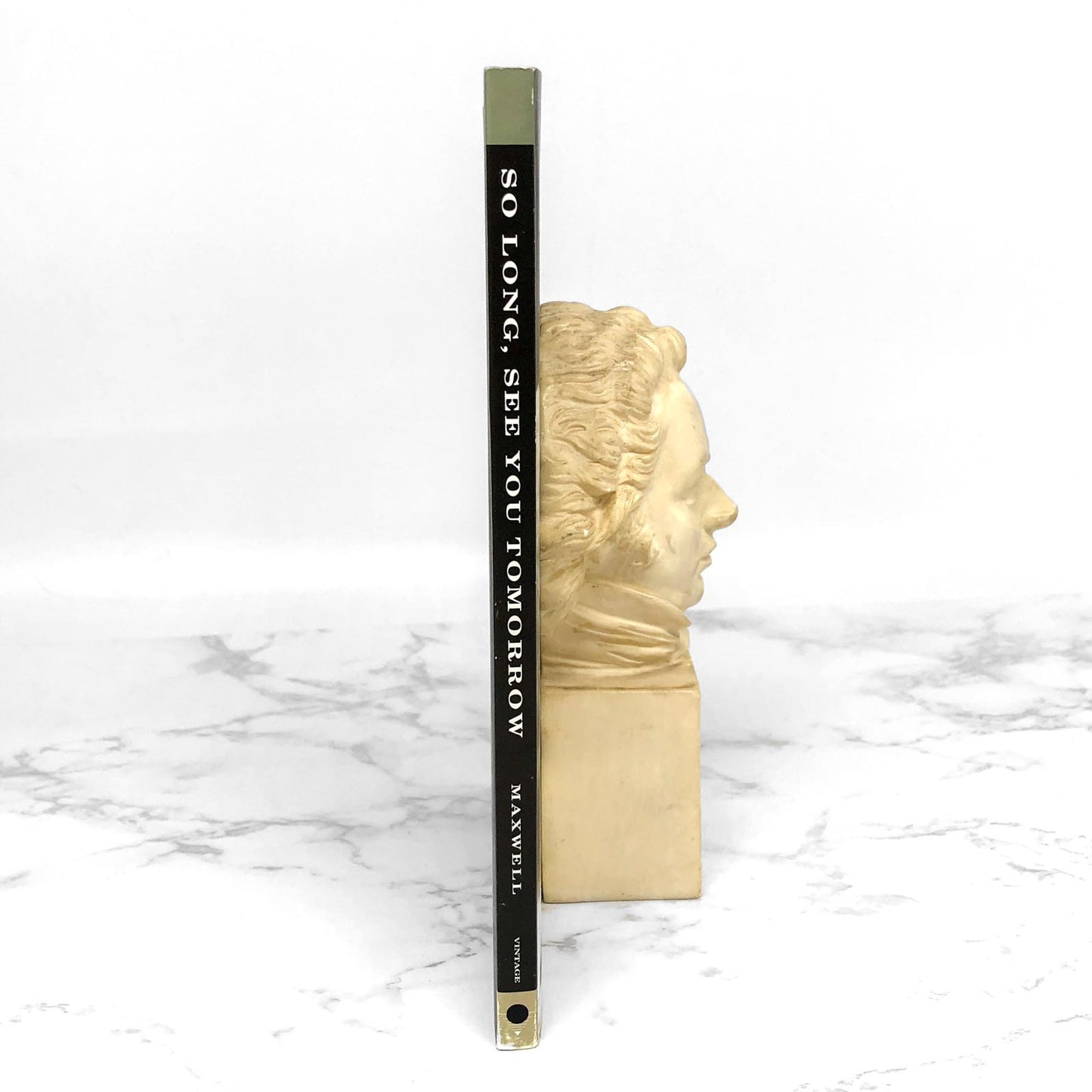 So Long, See You Tomorrow by William Maxwell [TRADE PAPERBACK] 1996