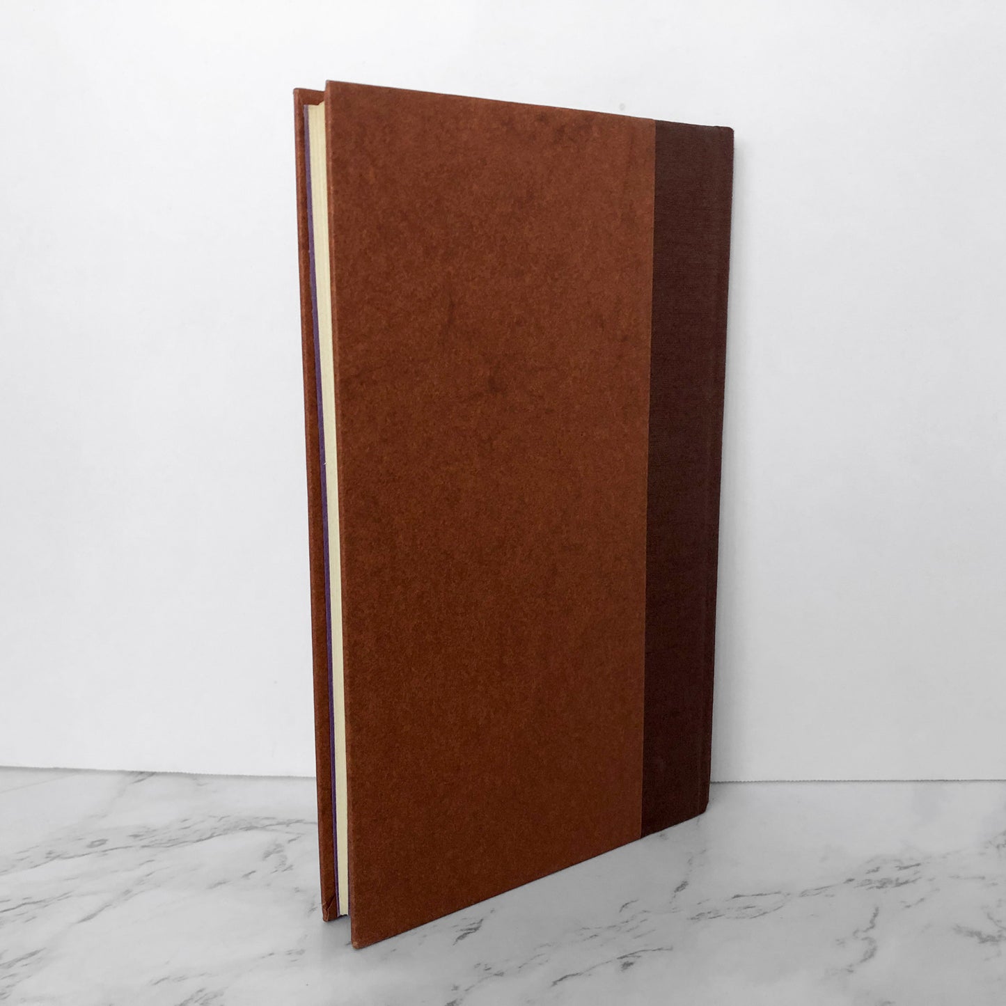 A Closer Look at Ariel: A Memory of Sylvia Plath by Nancy Hunter Steiner [FIRST EDITION] - Bookshop Apocalypse