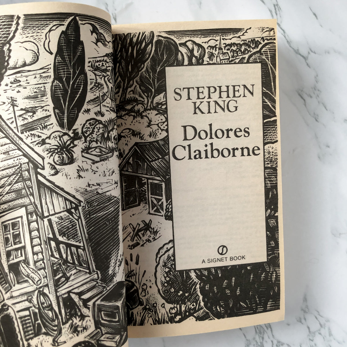 Dolores Claiborne by Stephen King [1993 PAPERBACK] - Bookshop Apocalypse