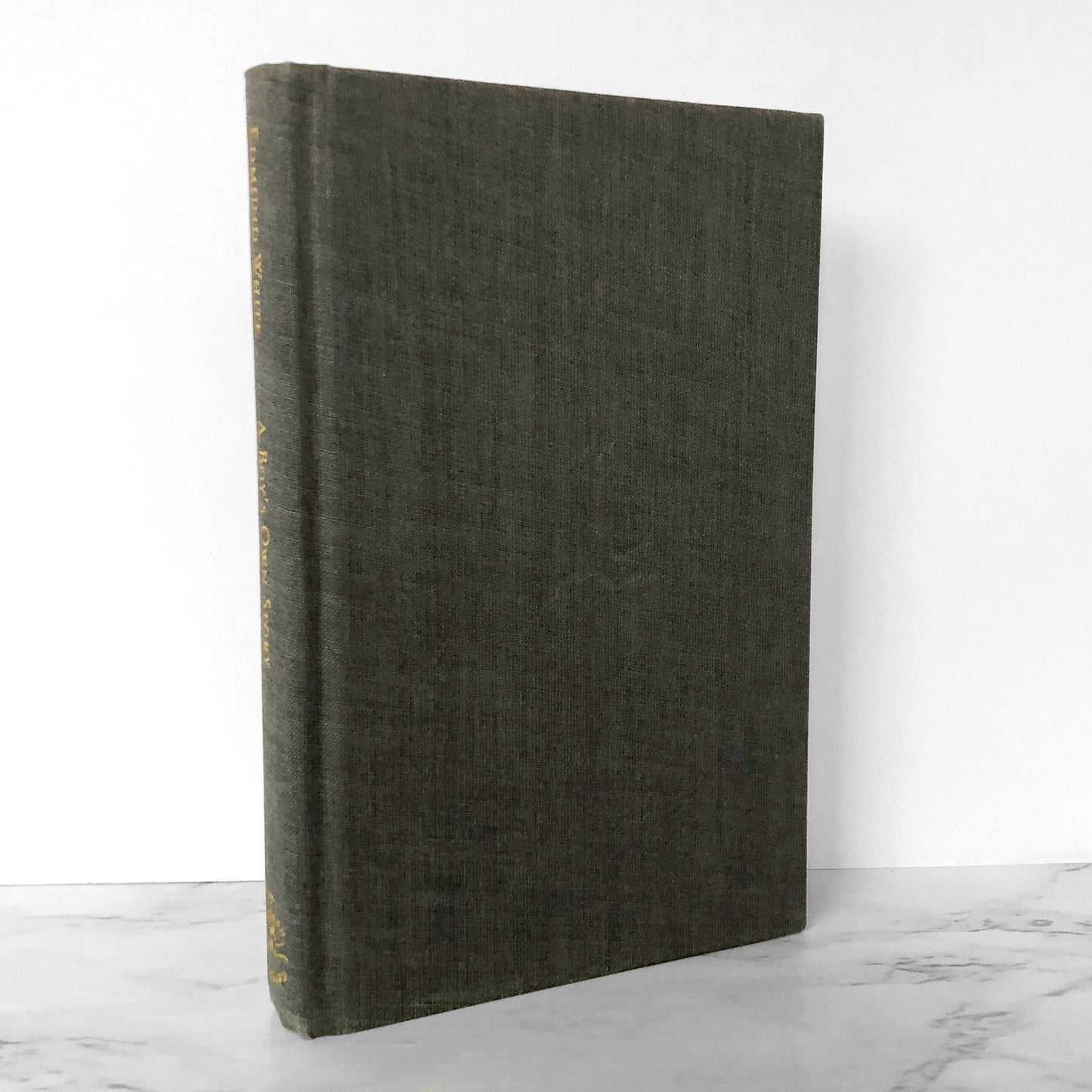 A Boy's Own Story by Edmund White [MODERN LIBRARY HARDCOVER] 2002