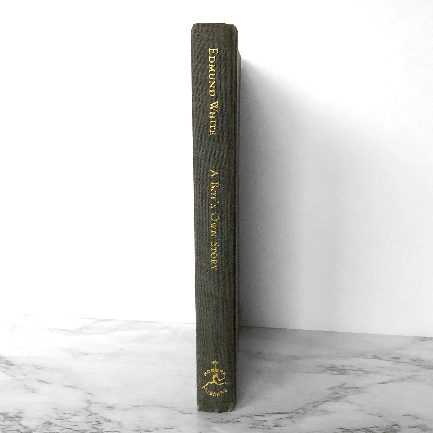 A Boy's Own Story by Edmund White [MODERN LIBRARY HARDCOVER] 2002