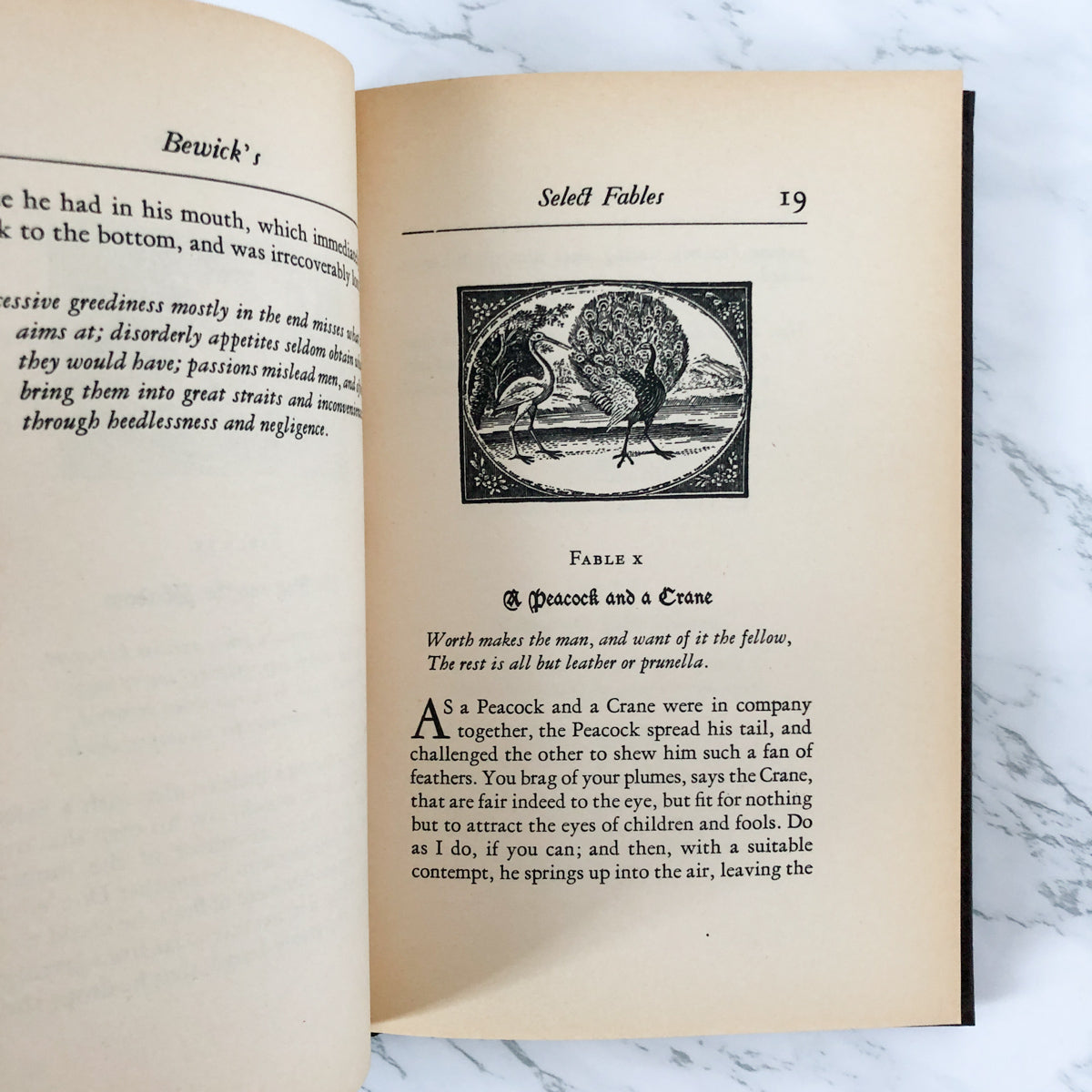 Treasury of Aesop's Fables by Oliver Goldsmith & Thomas Bewick [SPECIAL EDITION / 1973] - Bookshop Apocalypse