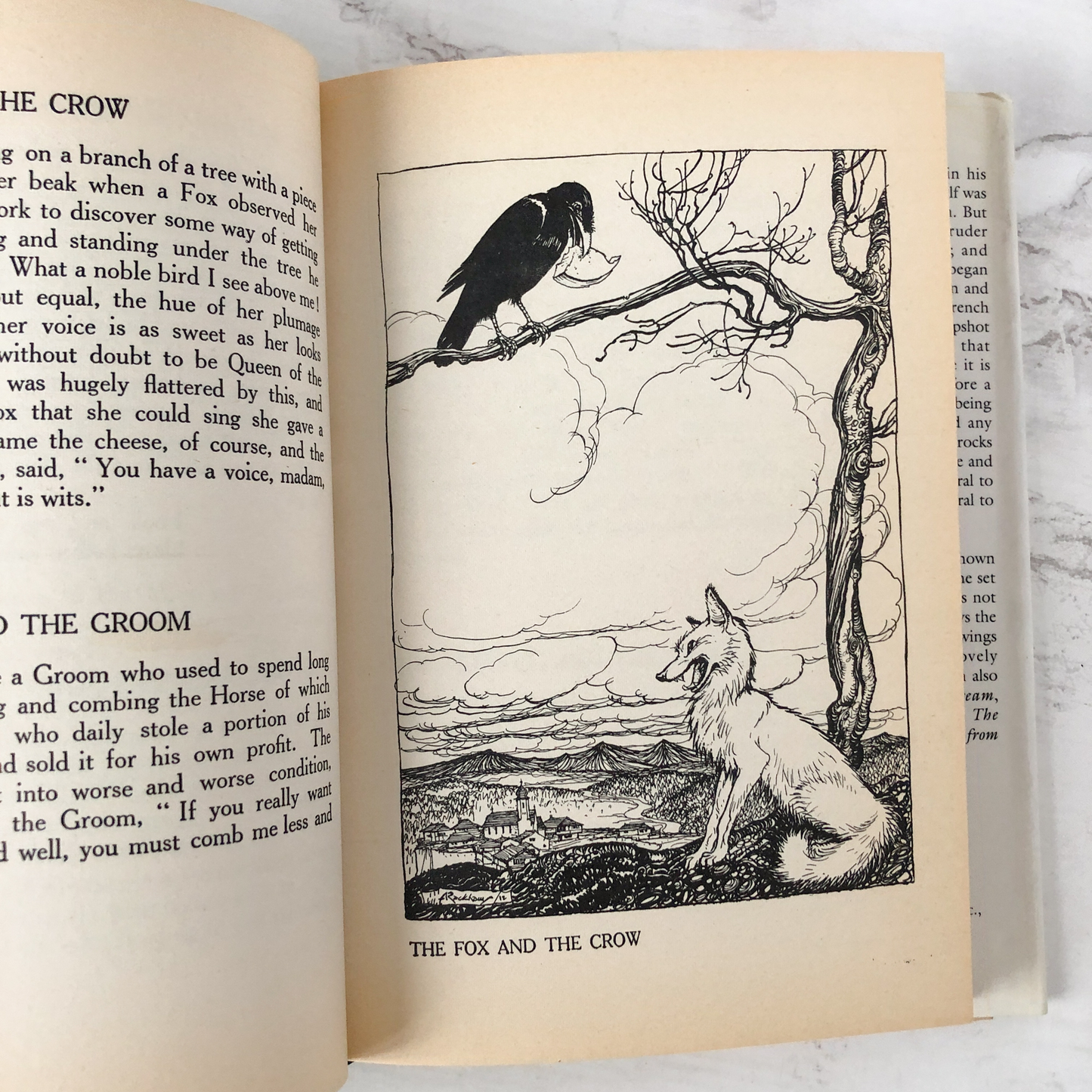 Aesop's Fables [FACSIMILE OF THE 1912 EDITION] V.S. Vernon Jones / Arthur Rackham - Bookshop Apocalypse