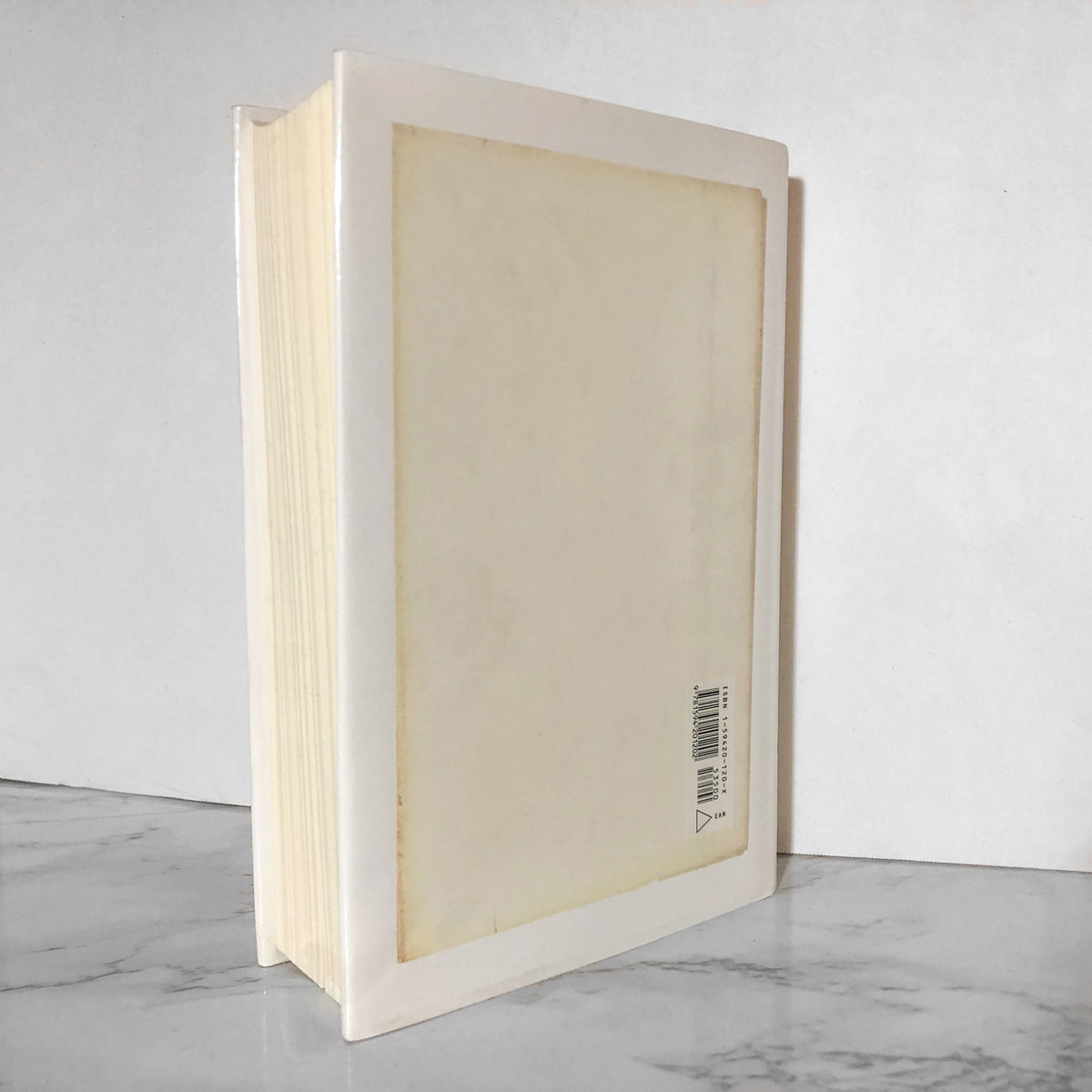 Against The Day by Thomas Pynchon [FIRST EDITION / FIRST PRINTING] - Bookshop Apocalypse