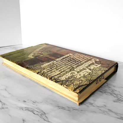 The Alice Crimmins Case by Kenneth Gross [BOOK CLUB EDITION / 1975]