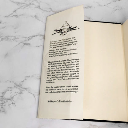 A Light in the Attic by Shel Silverstein [1981 HARDCOVER] • Harper Collins