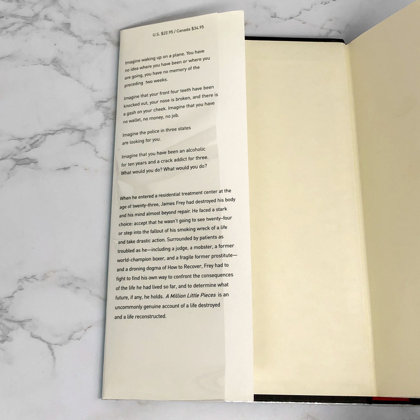 A Million Little Pieces by James Frey SIGNED! [FIRST EDITION * FIRST PRINTING] 2003 • Doubleday