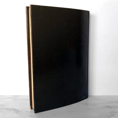 The Amityville Horror II by John G. Jones [1982 HARDCOVER]