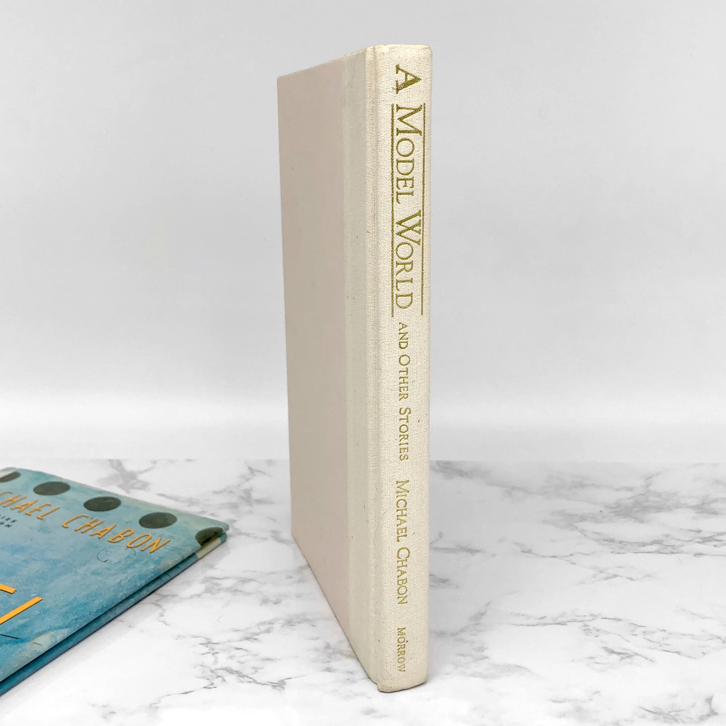 A Model World & Other Stories by Michael Chabon [FIRST EDITION / FIRST PRINTING] 1991