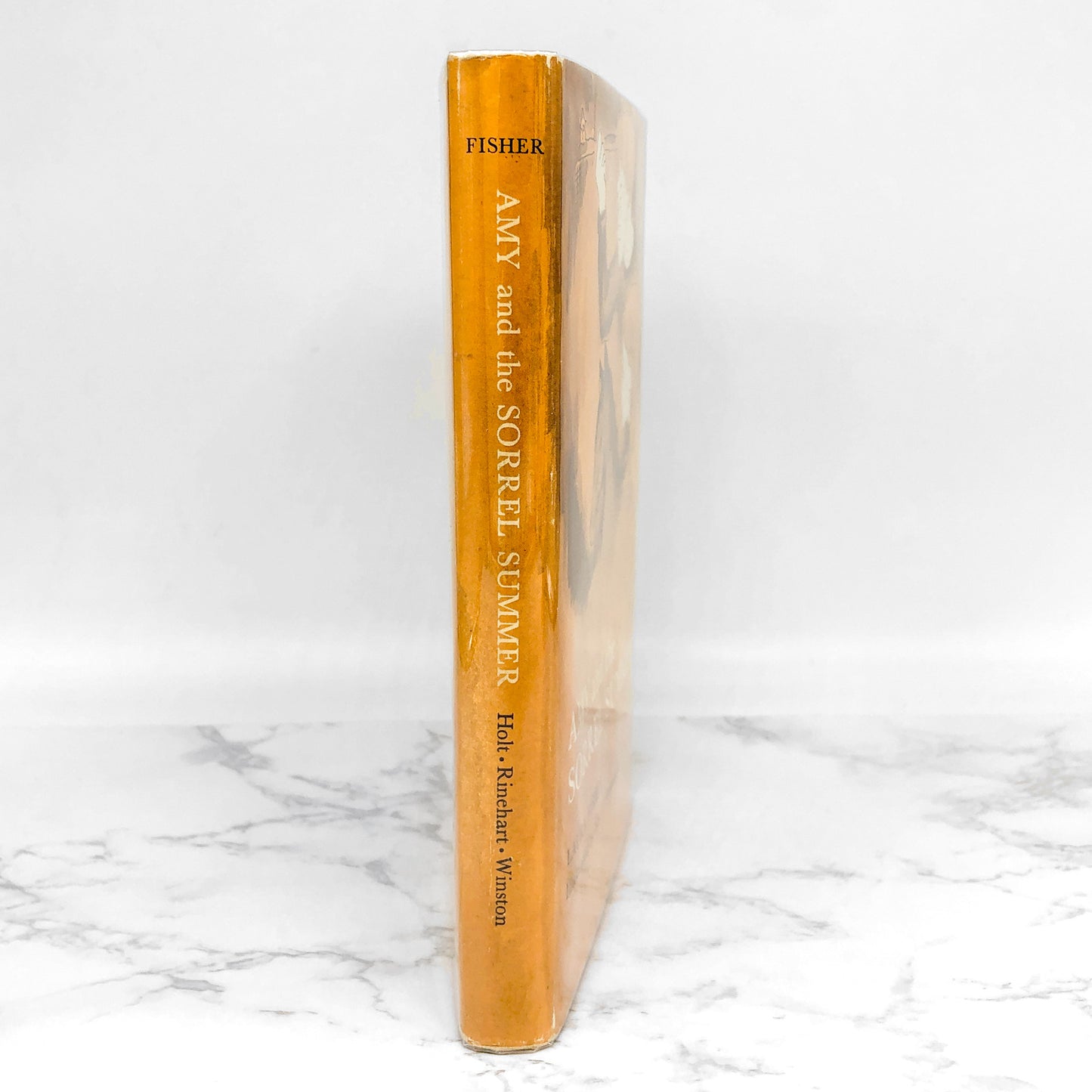 Amy and the Sorrel Summer by Laura Fisher & Sheila Greenwald [FIRST EDITION] 1964