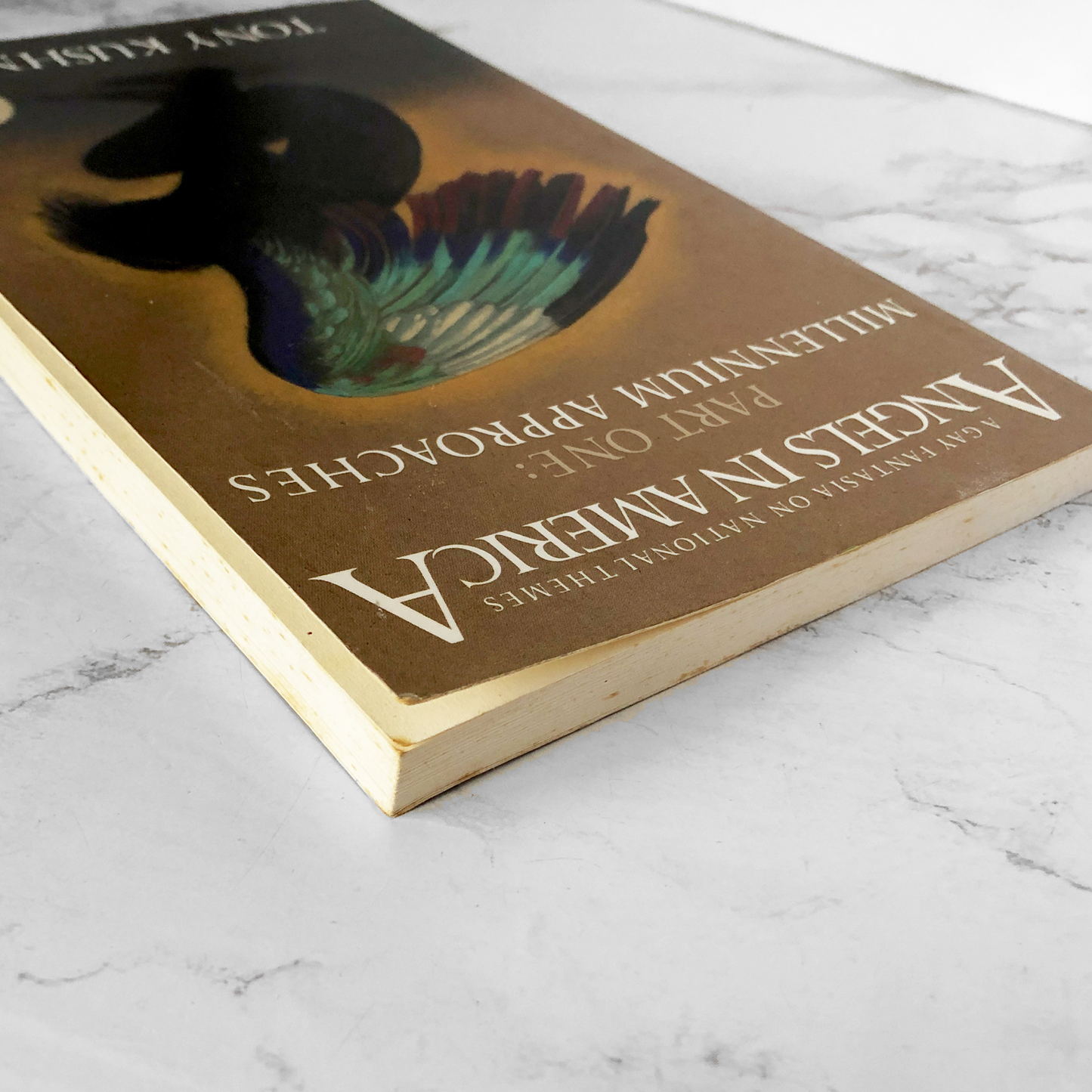 Angels in America Part One: Millennium Approaches by Tony Kushner [FIRST EDITION] - Bookshop Apocalypse