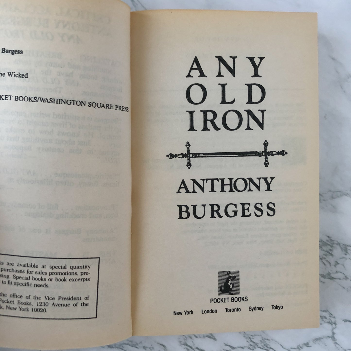 Any Old Iron by Anthony Burgess [1989 PAPERBACK] - Bookshop Apocalypse